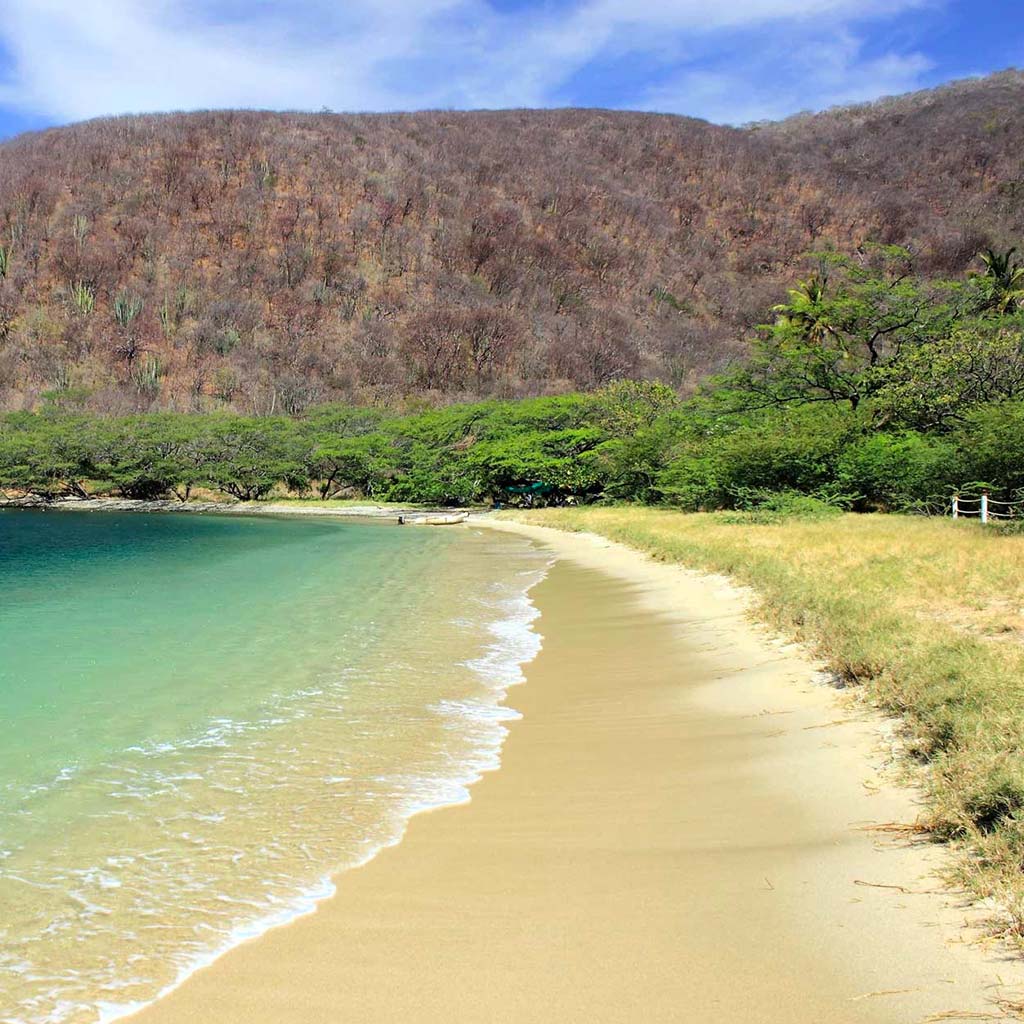 Experiencia Bahía Concha en Velero